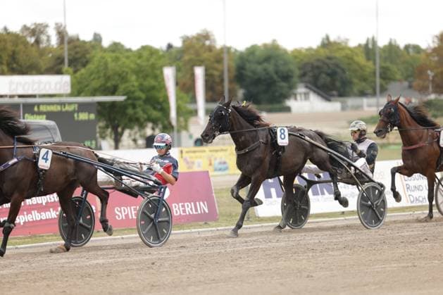 Drei Gespanne liefern sich ein enges Rennen auf der Sandbahn in Mariendorf, wobei das schwarze Pferd mit Startnummer 8 das Feld anführt. Im Hintergrund sind die Werbebanden von trotto.de und Spielbank Berlin zu sehen. Trabrennen auf der Rennbahn Berlin Mariendorf – Startnummer 8 in Führung *** Three teams are locked in a close race on the sand track in Mariendorf, with the black horse, number 8, leading the pack. In the background, the advertising banners for trotto de and Spielbank Berlin can be seen. Trotting race at the Berlin Mariendorf Racetrack – Number 8 in the lead Copyright: xspeedshotx