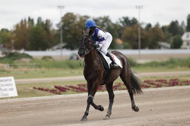 Eine Jockeyfahrerin in blau-weißer Rennkleidung und blauem Helm reitet auf einem dunkelbraunen Pferd über die Sandbahn der Rennbahn Berlin-Mariendorf. Das Pferd trägt die Startnummer 2 und ist im Galopp auf der Rennstrecke unterwegs. Jockey auf dunklem Pferd bei Ausritt auf der Rennbahn Berlin-Mariendorf *** A female jockey in blue-and-white racing attire and a blue helmet rides a dark brown horse across the sand track at the Berlin Mariendorf Racetrack. The horse is wearing start number 2 and is galloping around the track. Jockey on a dark horse during a ride at the Berlin Mariendorf Racetrack Copyright: xspeedshotx