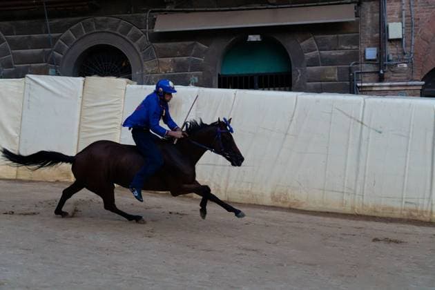 Tittia wins Palio di Siena for Nicchio SIENA, ITALY, AUGUST 18, 2026: Jockey Giovanni Atzeni, known as Tittia, riding Anda e Bola wins the August edition of the Palio di Siena for the Nicchio contrada. The race was postponed from August 16 and 17 due to rain. The victory marks Tittia s 13th Palio win. After the race, Tittia fell from his horse and was taken to a hospital in Siena for medical checks. Siena Italy Copyright: x xTommasoxSfregolax xJNAxPressx
