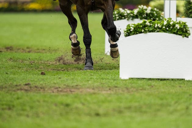 260819 Horse hooves compete in the team and individual jumping qualifier round one during day 9 of the 2026 FEI World Championships on August 19, 2026 in Aachen. Photo: Emma Wallskog BILDBYRAN kod EW EW0689 ridsport equestrian rid-vm 2026 2026 fei world championships bbeng ridsport-vm hoppning jumping genre gräs *** August 19, 2026: Horses compete in the first round of the team and individual jumping qualifiers on Day 9 of the 2026 FEI World Championships, 2026 in Aachen. Photo by Emma Wallskog. BILDBYRAN code EW EW0689 equestrian sports 2026 World Championships 2026 FEI World Championships BBENG equestrian sports World Championships show jumping genre grass  Copyright: EMMAxWALLSKOG BB260819EW127