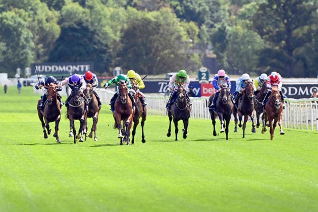 19.08.2026, York, North Yorkshire, GBR - Haffner (fourth from left) with Ryan Moore up wins the Acomb Stakes. York racecourse. (Pferd, Jockey, Haffner, Moore, Sieg, Ziel, Zielankunft) 260819C905YORK.JPG *** August 19, 2026, York, North Yorkshire, UK: Haffner (fourth from the left), ridden by Ryan Moore, wins the Acomb Stakes at York Racecourse. Horse, Jockey, Haffner, Moore, Victory, Finish, Finish Line 260819C905YORK JPG