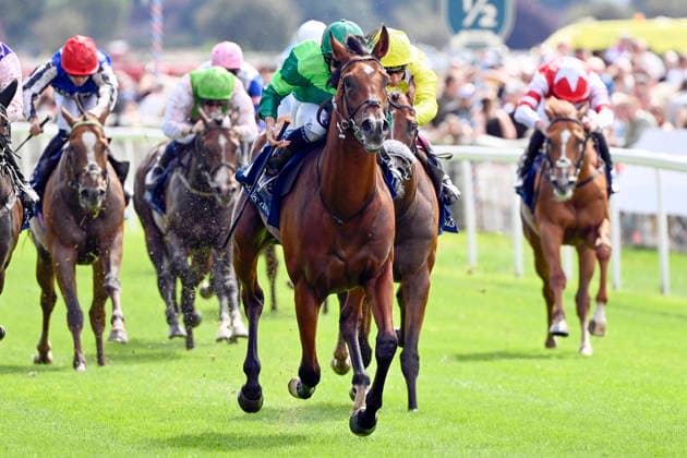 19.08.2026, York, North Yorkshire, GBR - Haffner with Ryan Moore up wins the Acomb Stakes. York racecourse. (Pferd, Jockey, Haffner, Moore, Sieg, Ziel, Zielankunft) 260819C908YORK.JPG *** August 19, 2026, York, North Yorkshire, GBR: Haffner, ridden by Ryan Moore, wins the Acomb Stakes at York Racecourse. Horse, jockey, Haffner, Moore, victory, finish, finish line 260819C908YORK JPG