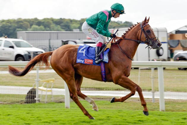 19.08.2026, York, North Yorkshire, GBR - Galiyan with Oisin Murphy. York racecourse. (Pferd, Jockey, Galiyan, Murphy, Aufgalopp) 260819C915YORK.JPG *** August 19, 2026, York, North Yorkshire, UK Galiyan with Oisin Murphy at York Racecourse Horse, Jockey, Galiyan, Murphy, Warm-up 260819C915YORK JPG