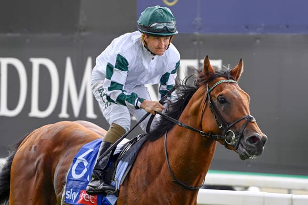 19.08.2026, York, North Yorkshire, GBR - Superior Choice with Shane Foley. York racecourse. (Pferd, Jockey, Superior Choice, Foley, Aufgalopp) 260819C917YORK.JPG *** August 19, 2026, York, North Yorkshire, UK Superior Choice with Shane Foley at York Racecourse Horse, Jockey, Superior Choice, Foley, Warm-up 260819C917YORK JPG