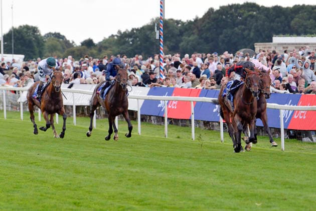 19.08.2026, York, North Yorkshire, GBR - Maltese Cross with Tom Marquand up wins the Great Voltigeur Stakes. York racecourse. (Pferd, Jockey, Maltese Cross, Marquand, Sieg, Ziel, Zielankunft) 260819C919YORK.JPG *** August 19, 2026, York, North Yorkshire, UK: Maltese Cross, ridden by Tom Marquand, wins the Great Voltigeur Stakes at York Racecourse. Horse, Jockey, Maltese Cross, Marquand, Victory, Finish, Finish Line 260819C919YORK JPG