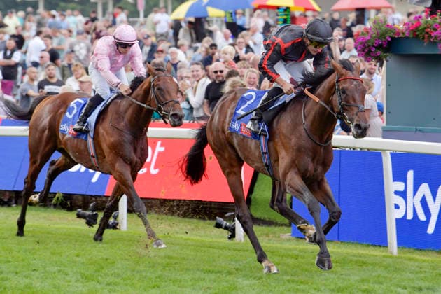 19.08.2026, York, North Yorkshire, GBR - Maltese Cross with Tom Marquand up wins the Great Voltigeur Stakes. York racecourse. (Pferd, Jockey, Maltese Cross, Marquand, Sieg, Ziel, Zielankunft) 260819C921YORK.JPG *** August 19, 2026, York, North Yorkshire, UK: Maltese Cross, ridden by Tom Marquand, wins the Great Voltigeur Stakes at York Racecourse. Horse, Jockey, Maltese Cross, Marquand, Victory, Finish, Finish Line 260819C921YORK JPG