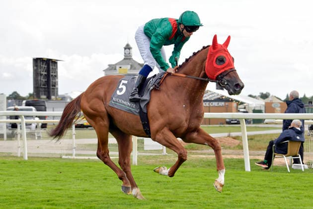 19.08.2026, York, North Yorkshire, GBR - Zaydann with Mickael Barzalona. York racecourse. (Pferd, Jockey, Zaydann, Barzalona, Aufgalopp) 260819C934YORK.JPG *** August 19, 2026, York, North Yorkshire, UK Zaydann with Mickael Barzalona at York Racecourse Horse, Jockey, Zaydann, Barzalona, Warm-up 260819C934YORK JPG