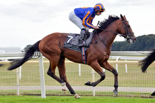 19.08.2026, York, North Yorkshire, GBR - Constitution River with Ryan Moore. York racecourse. (Pferd, Jockey, Constitution River, Moore, Aufgalopp) 260819C938YORK.JPG *** August 19, 2026, York, North Yorkshire, UK: Constitution River with Ryan Moore at York Racecourse—Horse, Jockey, Constitution River, Moore, Warm-up 260819C938YORK JPG