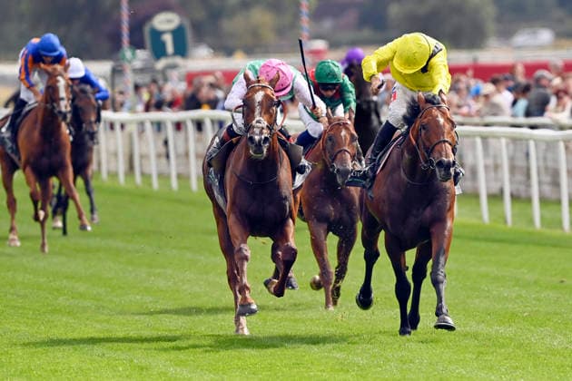 Equestrian sports, horse racing, race day at York