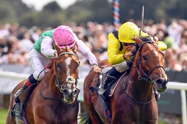 19.08.2026, York, North Yorkshire, GBR - Item with Colin Keane (pink cap) up wins the Juddmonte International Stakes. York racecourse. (Pferd, Jockey, Item, Keane, Sieg, Ziel, Zielankunft) 260819C943YORK.JPG *** August 19, 2026, York, North Yorkshire, UK: Horse wearing a pink cap, ridden by Colin Keane, wins the Juddmonte International Stakes at York Racecourse. Horse, Jockey, Horse, Keane, Victory, Finish, Finish Line 260819C943YORK JPG