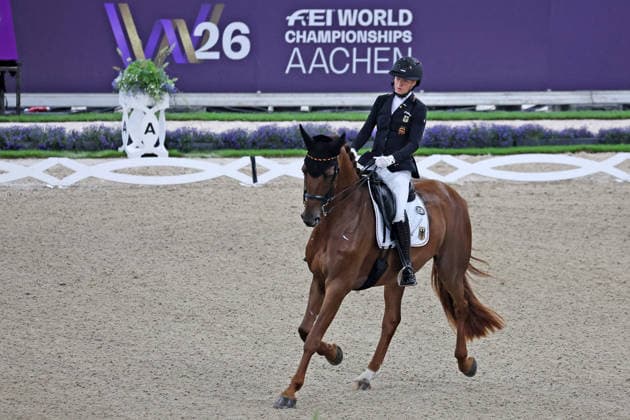 Equestrian sports, World Championships in Aachen, para-dressage