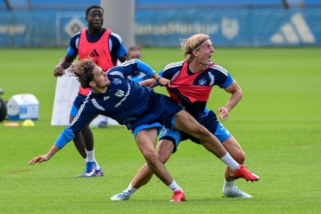 Football, Bundesliga 1, Hamburger SV, Training