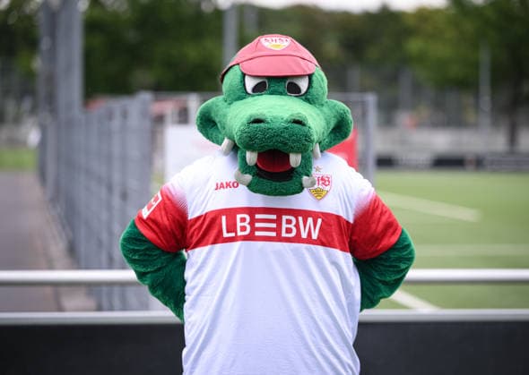 FUSSBALL 1. BUNDESLIGA SAISON 2026 2027 18.08.2026 Portraettermin beim VfB Stuttgart auf dem Trainingsgelaende: Maskottchen Fritzle *** SOCCER: BUNDESLIGA 1, 2026–2027 SEASON, August 18, 2026: Photo session at VfB Stuttgart s training facility with the mascot Fritzle