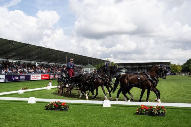 Equestrian sport, World Championships in Aachen, four-in-hand dressage