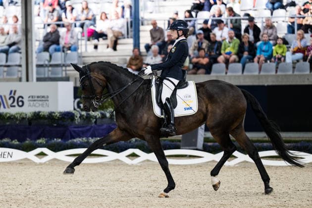 Equestrian sports, World Championships in Aachen, para-dressage, team