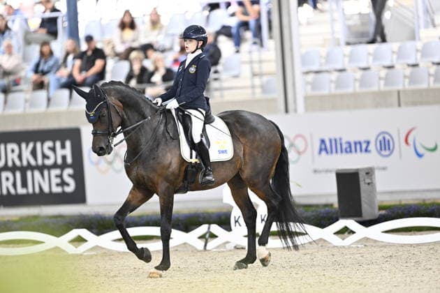 AACHEN, GERMANY 20260821 Sweden s Renee Claesson-Ribring on the horse Zapp VS at Friday s team competition in para-dressage during the Equestrian World Championships in Aachen. AACHEN GERMANY x10050x *** AACHEN, GERMANY 20260821 Sweden s Renee Claesson Ribring on the horse Zapp VS at Friday s team competition in para-dressage during the World Equestrian Games in Aachen AACHEN GERMANY x10050x  Copyright: xPontusxLundahl TTx EQUESTRIAN WORLD CHAMPIONSHIP 2026