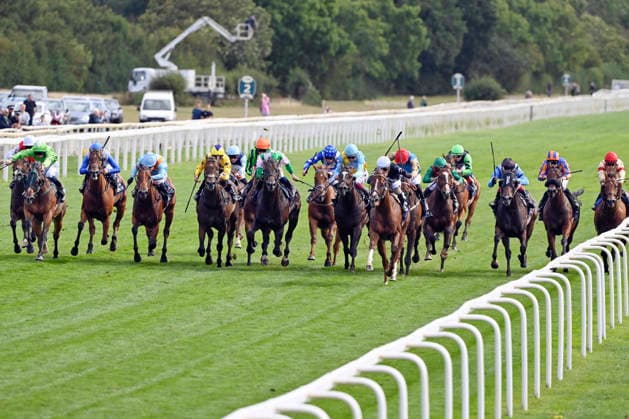 21.08.2026, York, North Yorkshire, GBR - Bacio (fifth from right) with Juan Hernandez up wins the Nunthorphe Stakes. York racecourse. (Pferd, Jockey, Bacio, Hernandez, Sieg, Ziel, Zielankunft) 260821C942YORK.JPG *** August 21, 2026, York, North Yorkshire, UK: Bacio, fifth from the right with Juan Hernandez aboard, wins the Nunthorpe Stakes at York Racecourse. Horse, Jockey, Bacio, Hernandez, Victory, Finish, Finish Line 260821C942YORK JPG