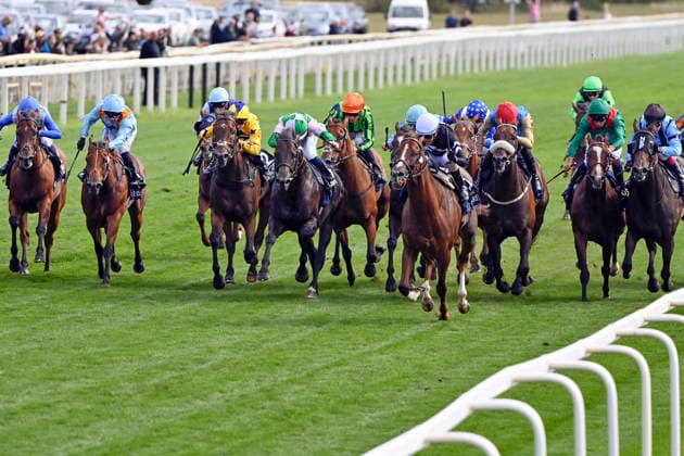 21.08.2026, York, North Yorkshire, GBR - Bacio (fourth from right) with Juan Hernandez up wins the Nunthorphe Stakes. York racecourse. (Pferd, Jockey, Bacio, Hernandez, Sieg, Ziel, Zielankunft) 260821C943YORK.JPG *** August 21, 2026, York, North Yorkshire, UK: Bacio, fourth from the right with Juan Hernandez in the saddle, wins the Nunthorpe Stakes at York Racecourse. Horse, Jockey, Bacio, Hernandez, Victory, Finish, Finish Line 260821C943YORK JPG