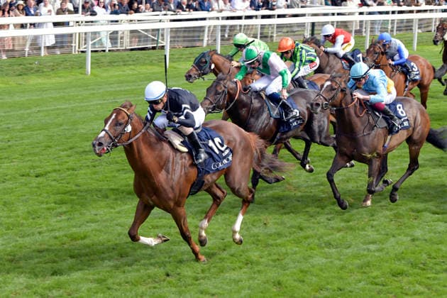 Equestrian sports, horse racing, race day at York