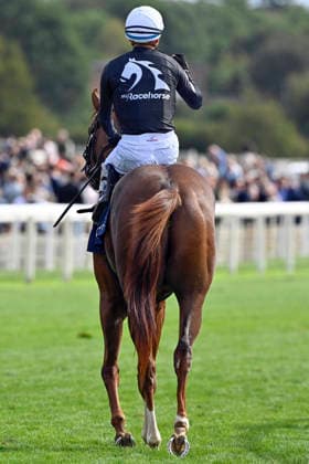 21.08.2026, York, North Yorkshire, GBR - Bacio with Juan Hernandez up after winning the Nunthorphe Stakes. York racecourse. (Pferd, Jockey, Bacio, Hernandez, Sieg) 260821C948YORK.JPG *** August 21, 2026, York, North Yorkshire, UK: Bacio, ridden by Juan Hernandez, after winning the Nunthorpe Stakes at York Racecourse. Horse, jockey, Bacio, Hernandez, victory 260821C948YORK JPG