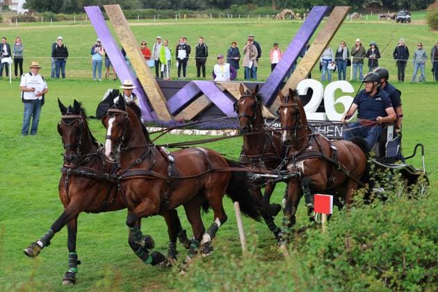 Equestrian sports, World Championships in Aachen, carriage driving