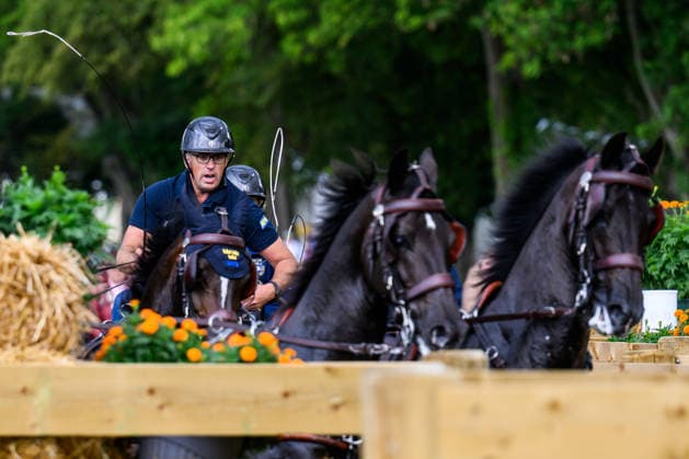 260822 Fredrik Persson of Sweden with horses Fasco, Hertog Jan, Judson and Kermit compete in the Four-in-Hand Marathon during day 12 of the 2026 FEI World Championships on August 22, 2026 in Aachen. Photo: Emma Wallskog BILDBYRAN kod EW EW0697 ridsport equestrian rid-vm 2026 2026 fei world championships bbeng ridsport-vm fyrspann drivning körning *** August 22, 2026: Fredrik Persson of Sweden, with his horses Fasco, Hertog Jan, Judson, and Kermit, competes in the Four-in-Hand Marathon on Day 12 of the 2026 FEI World Championships, 2026 in Aachen. Photo by Emma Wallskog. BILDBYRAN code EW EW0697 equestrian sports equestrian riding 2026 World Championships 2026 FEI World Championships bbeng equestrian sports World Championships four-in-hand driving  Copyright: EMMAxWALLSKOG BB260822EW017
