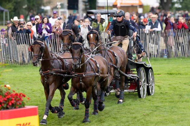 Rene POENSGEN (GER), mit seinem Gespann im Wasser, Einzelaktion, Fahren, Aktion, A2: Marathon FEI Driving World Championship, WM, Weltmeisterschaft - Team und Einzel, am 22.08.2026, FEI Reit Weltmeisterschaft Aachen 2026 vom 11. - 23.08.2026 in Aachen Deutschland; Â *** Rene POENSGEN (GER), with his team in the water, individual event, driving, action, A2 Marathon at the FEI Driving World Championships (team and individual events), on August 22, 2026, FEI World Equestrian Games Aachen 2026, August 11–23, 2026, in Aachen, Germany Â