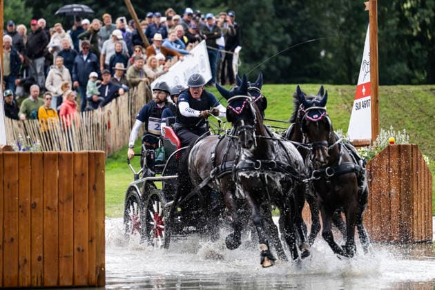 260822 Peter Bennett of Great Britain with horses Elmo Almire, Kroonprins, Lodewijk and Lutiano compete in the Four-in-Hand Marathon during day 12 of the 2026 FEI World Championships on August 22, 2026 in Aachen. Photo: Emma Wallskog BILDBYRAN kod EW EW0697 ridsport equestrian rid-vm 2026 2026 fei world championships bbeng ridsport-vm fyrspann drivning körning *** August 22, 2026: Peter Bennett of Great Britain, with his horses Elmo Almire, Kroonprins, Lodewijk, and Lutiano, competes in the Four-in-Hand Marathon on day 12 of the 2026 FEI World Championships on August 22, 2026 in Aachen. Photo by Emma Wallskog. BILDBYRAN code EW EW0697 equestrian sports 2026 World Championships 2026 FEI World Championships bbeng equestrian sports World Championships four-in-hand driving  Copyright: EMMAxWALLSKOG BB260822EW025
