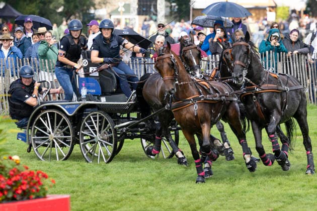 Anna SANDMANN (GER), mit ihrem Gespann im Wasser, Einzelaktion, Fahren, Aktion, A2: Marathon FEI Driving World Championship, WM, Weltmeisterschaft - Team und Einzel, am 22.08.2026, FEI Reit Weltmeisterschaft Aachen 2026 vom 11. - 23.08.2026 in Aachen Deutschland; Â *** Anna SANDMANN (GER), with her team in the water, individual event, driving, action, A2 Marathon at the FEI Driving World Championship (Team and Individual), on August 22, 2026, FEI World Equestrian Games Aachen 2026, August 11–23, 2026, in Aachen, Germany Â