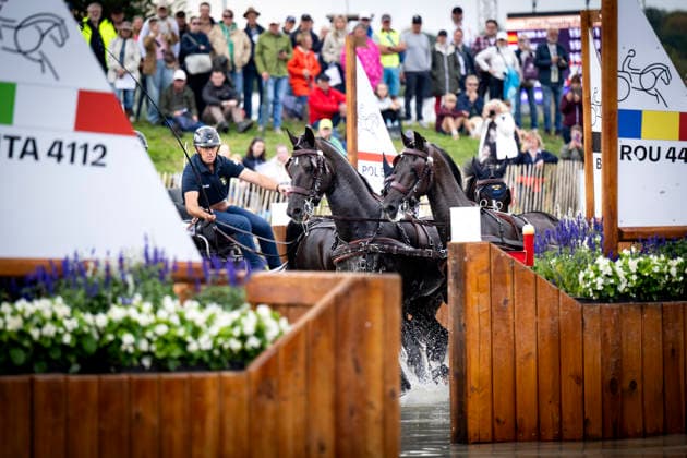 AACHEN, TYSKLAND 20260822 Sveriges Fredrik Persson i fyrspann maraton sportkörning med hästarna FASCO, JUDSON, KAPTAIN, KERMIT vid ryttar-VM i Aachen. Med pa vagnen för att balansera upp ekipaget är hästskötarna Helena Persson och Victoria Persson. AACHEN TYSKLAND x10050x *** AACHEN, GERMANY 20260822 Sweden s Fredrik Persson in the four-in-hand marathon event with the horses FASCO, JUDSON, KAPTAIN, and KERMIT at the World Equestrian Games in Aachen. Riding on the carriage to help balance the team are the grooms Helena Persson and Victoria Persson. AACHEN, GERMANY x10050x  Copyright: xPontusxLundahl TTx RYTTAR-VM 2026