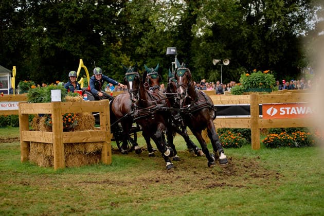 AACHEN, GERMANY - AUGUST 22: Action during the Marathon Team and Individual competition of the FEI Driving World Championship, WM, Weltmeisterschaft Four-in-Hand, Prize of schwartz Group, at Marathon Course Soers on August 22, 2026 in Aachen, Germany.  Copyright: xVitaliixKliuievx