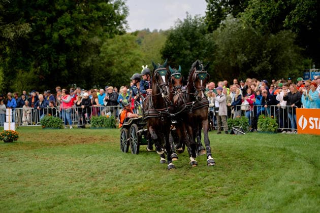 AACHEN, GERMANY - AUGUST 22: Action during the Marathon Team and Individual competition of the FEI Driving World Championship, WM, Weltmeisterschaft Four-in-Hand, Prize of schwartz Group, at Marathon Course Soers on August 22, 2026 in Aachen, Germany.  Copyright: xVitaliixKliuievx