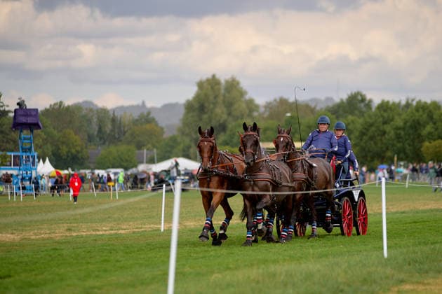 AACHEN, GERMANY - AUGUST 22: Action during the Marathon Team and Individual competition of the FEI Driving World Championship, WM, Weltmeisterschaft Four-in-Hand, Prize of schwartz Group, at Marathon Course Soers on August 22, 2026 in Aachen, Germany.  Copyright: xVitaliixKliuievx
