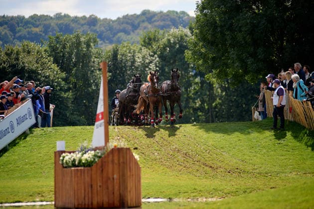 AACHEN, GERMANY - AUGUST 22: Action during the Marathon Team and Individual competition of the FEI Driving World Championship, WM, Weltmeisterschaft Four-in-Hand, Prize of schwartz Group, at Marathon Course Soers on August 22, 2026 in Aachen, Germany.  Copyright: xVitaliixKliuievx