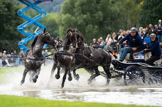 Das Team um Georg von Stein (GER) FEI World Championships Aachen 2026, Driving Four-in-Hand Team & Individual Marathon, Prize of the schwartz Group, 22.08.2026 FEI World Championships Aachen 2026, Driving Four-in-Hand Team & Individual Marathon, Prize of the schwartz Group, 22.08.2026 Aachen *** Georg von Stein s team, GER, FEI World Championships Aachen 2026, Four-in-Hand Team Individual Marathon, Schwartz Group Prize, August 22, 2026, FEI World Championships Aachen 2026, Four-in-Hand Team Individual Marathon, Schwartz Group Prize, August 22, 2026, Aachen Copyright: xEibner-Pressefoto J.xDerondeaux EP_JDU