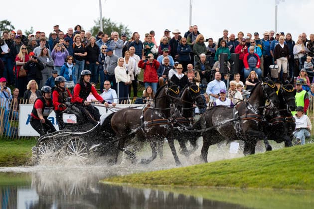 Das Team um Sam Gees (BEL) FEI World Championships Aachen 2026, Driving Four-in-Hand Team & Individual Marathon, Prize of the schwartz Group, 22.08.2026 FEI World Championships Aachen 2026, Driving Four-in-Hand Team & Individual Marathon, Prize of the schwartz Group, 22.08.2026 Aachen *** Sam Gees Team at the 2026 FEI World Championships in Aachen, Four-in-Hand Team Individual Marathon, Schwartz Group Prize, August 22, 2026, 2026 FEI World Championships in Aachen, Four-in-Hand Team Individual Marathon, Schwartz Group Prize, August 22, 2026, Aachen Copyright: xEibner-Pressefoto J.xDerondeaux EP_JDU