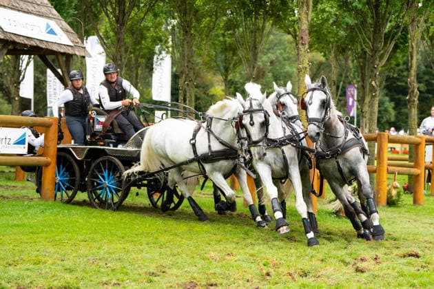 Das Team um Jiri Nesvacil Jr (CZE) FEI World Championships Aachen 2026, Driving Four-in-Hand Team & Individual Marathon, Prize of the schwartz Group, 22.08.2026 FEI World Championships Aachen 2026, Driving Four-in-Hand Team & Individual Marathon, Prize of the schwartz Group, 22.08.2026 Aachen *** The team led by Jiri Nesvacil Jr., CZE, FEI World Championships Aachen 2026, Four-in-Hand Team Individual Marathon, Schwartz Group Prize, August 22, 2026, FEI World Championships Aachen 2026, Four-in-Hand Team Individual Marathon, Schwartz Group Prize, August 22, 2026, Aachen Copyright: xEibner-Pressefoto J.xDerondeaux EP_JDU