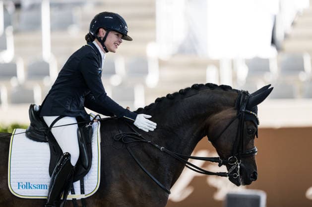 Equestrian sports, World Championships in Aachen, para-dressage