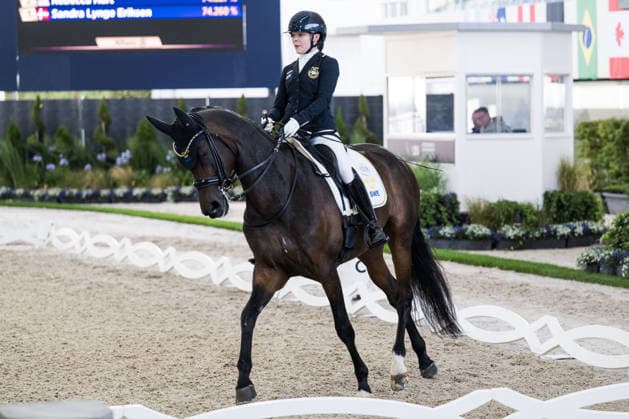 260823 Pam Svane of Sweden with horse Raja compete in the Para Dressage Grand Prix Freestyle Individual Final Grade III during day 13 of the 2026 FEI World Championships on August 23, 2026 in Aachen. Photo: Emma Wallskog BILDBYRAN kod EW EW0701 ridsport equestrian rid-vm 2026 2026 fei world championships bbeng ridsport-vm dressyr dressage para dressage paradressyrsverige sweden *** August 23, 2026: Pam Svane of Sweden, riding Raja, competed in the Grade III Para Dressage Grand Prix Freestyle Individual Final on Day 13 of the 2026 FEI World Championships in Aachen. 2026 in Aachen. Photo by Emma Wallskog, BILDBYRAN code EW EW0701 equestrian sports 2026 World Championships 2026 FEI World Championships bbeng equestrian sports World Championships dressage para dressage Sweden  Copyright: EMMAxWALLSKOG BB260823EW003