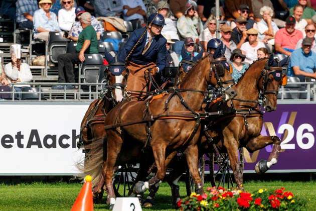 AACHEN - FEI World Championships 2026, AACHEN - FEI World Championships 2026 NAPROUS Daniel (GBR), Ippon, Jack, Lord P.C, Lyzander .V, Onno Stuntman Star Wars, Davinci Code, Games of Thrones and more FEI Driving World Championship, WM, Weltmeisterschaft Four-in-Hand Team & Individual Cones Kegelfahren Aachen, Reitstadion Soers 23. August 2026 - *** AACHEN FEI World Championships 2026, AACHEN FEI World Championships 2026 NAPROUS Daniel GBR, Ippon, Jack, Lord P C, Lyzander V, Onno (Star Wars stuntman), The Da Vinci Code, Game of Thrones, and more FEI Driving World Championships: Four-in-Hand, Team, Individual, and Cones Competition, Aachen, Soers Equestrian Stadium, August 23, 2026