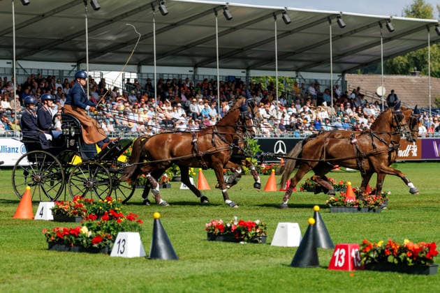 AACHEN - FEI World Championships 2026, AACHEN - FEI World Championships 2026 NAPROUS Daniel (GBR), Ippon, Jack, Lord P.C, Lyzander .V, Onno Stuntman Star Wars, Davinci Code, Games of Thrones and more FEI Driving World Championship, WM, Weltmeisterschaft Four-in-Hand Team & Individual Cones Kegelfahren Aachen, Reitstadion Soers 23. August 2026 - *** AACHEN FEI World Championships 2026, AACHEN FEI World Championships 2026 NAPROUS Daniel GBR, Ippon, Jack, Lord P C, Lyzander V, Onno (Star Wars stuntman), The Da Vinci Code, Game of Thrones, and more FEI Driving World Championships: Four-in-Hand, Team, Individual, and Cones Competition, Aachen, Soers Equestrian Stadium, August 23, 2026