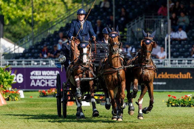Equestrian sports, World Championships in Aachen, carriage driving