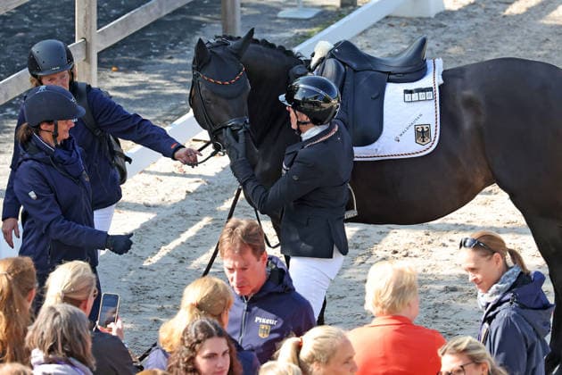 3. Platz, Bronze Medaille, Heidemarie Dresing (GER, Deutschland, Germany) - Grade II - mit Pferd Poesie, Grade II, Dressur, FEI Para Dressage World Championship, WM, Weltmeisterschaft Grade II Para Grand Prix Freestyle Individual Final Allianz-Prize, FEI Para Dressage World Championship 2026, FEI Para Dressur Weltmeisterschaft Aachen 2026, Para, Einritt, Prüfung, körperlichen Einschränkungen oder Sehbehinderungen, Fünf Startklassen (Grade I bis V) sorgen für faire Vergleiche je nach Grad der körperlichen Funktionseinschränkung, Die Para-Dressur ist der einzige paralympische Reitsportart, AACHEN - FEI World Championships 2026, Weltfest des Pferdesports, Reitsport Weltmeisterschaft 2026, Aachen 2026, Welcome Home 2026, Aachener Soers, 11. bis 23. August 2026, Reitsport, 23.08.2026, Aachen Aachener Soers Deutschland *** 3rd place, bronze medal, Heidemarie Dresing GER, Germany, Grade II with horse Poesie, Grade II, dressage, FEI Para Dressage World Championship Grade II Para Grand Prix Freestyle Individual Final Allianz Prize, FEI Para Dressage World Championship 2026, FEI Para Dressage World Championships Aachen 2026, Para, entrance, competition, physical limitations or visual impairments, five competition classes (Grades I through V) ensure fair comparisons based on the degree of physical functional limitation, Para Dressage is the only Paralympic equestrian sport, AACHEN FEI World Championships 2026, World Festival of Equestrian Sports, 2026 Equestrian World Championships, Aachen 2026, Welcome Home 2026, Aachen Soers, August 11–23, 2026, Equestrian Sports, August 23, 2026, Aachen Soers, Germany
