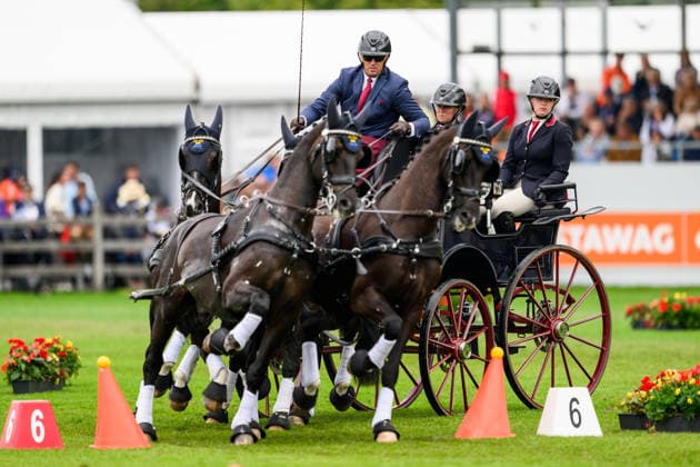 260823 Fredrik Persson of Sweden with horses Fasco, Kaptain, Judson and Kermit compete in the Four-in-Hand cones during day 13 of the 2026 FEI World Championships on August 23, 2026 in Aachen. Photo: Emma Wallskog BILDBYRAN kod EW EW0700 fyrspann drivning körning koner precision *** 260823 Fredrik Persson of Sweden, with his horses Fasco, Kaptain, Judson, and Kermit, competes in the Four-in-Hand cones on Day 13 of the 2026 FEI World Championships on August 23, 2026 in Aachen. Photo by Emma Wallskog. BILDBYRAN code EW EW0700 four-in-hand driving cones precision  Copyright: EMMAxWALLSKOG BB260823EW010