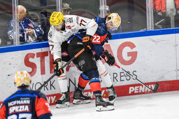 Nuernberg Ice Tigers vs. Loewen Frankfurt, Eishockey, Deutsche Eishockey Liga, Penny DEL, Vorbereitungsspiel, Gaeuboden Cup, Saison 2026 2027 am 23.08.2026 Timo Bakos (Nuernberg Ice Tigers), in Duell mit Daniel Pfaffengut (Loewen Frankfurt), Eishockey Herren, Deutsche Eishockey Liga, Penny DEL, Vorbereitungsspiel, Gaeuboden Cup, Saison 2026 2027 am 23.08.2026 im Eisstadion am Pulverturm, Nuernberg Ice Tigers (blau) gegen Loewen Frankfurt (weiss) *** Nuremberg Ice Tigers vs. Löwen Frankfurt, Ice Hockey, German Ice Hockey League, Penny DEL, Preseason Game, Gaeuboden Cup, 2026–2027 season on August 23, 2026: Timo Bakos of the Nuremberg Ice Tigers faces off against Daniel Pfaffengut of the Frankfurt Löwen, Men’s Ice Hockey, German Ice Hockey League, Penny DEL, preseason game, Gaeuboden Cup, 2026–2027 season on August 23, 2026, at the Eisstadion am Pulverturm, Nuremberg Ice Tigers (blue) vs. Loewen Frankfurt (white)