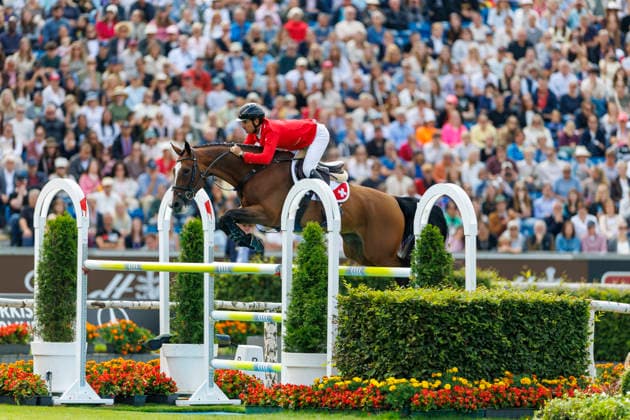 AACHEN - FEI World Championships 2026, AACHEN - FEI World Championships 2026 GUERDAT Steve (SUI), Dynamix de Belheme FEI Jumping World Championship, WM, Weltmeisterschaft Third Competition Individual Final Aachen, Reitstadion Soers 23. August 2026 - *** AACHEN FEI World Championships 2026, AACHEN FEI World Championships 2026 GUERDAT Steve SUI, Dynamix de Belheme FEI Jumping World Championship Third Competition Individual Final Aachen, Reitstadion Soers, August 23, 2026