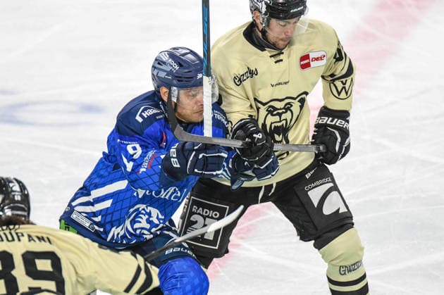 Straubing Tigers vs. Grizzlys Wolfsburg, Eishockey, Deutsche Eishockey Liga, Penny DEL, Vorbereitungsspiel, Gaeuboden Cup, Saison 2026 2027 am 23.08.2026 Tim Brunnhuber (Straubing Togers) im Duell mit Sven Ziegler (Grizzlys Wolfsburg), Eishockey Herren, Deutsche Eishockey Liga, Penny DEL, Vorbereitungsspiel, Gaeuboden Cup, Saison 2026 2027 am 23.08.2026 im Eisstadion am Pulverturm, Straubing Tigers (blau) gegen Grizzlys Wolfsburg (beige) *** Straubing Tigers vs. Grizzlys Wolfsburg, Ice Hockey, German Ice Hockey League, Penny DEL, Preseason Game, Gaeuboden Cup, 2026–2027 season on August 23, 2026: Tim Brunnhuber’s Straubing Tigers face off against Sven Ziegler’s Grizzlys Wolfsburg, Men’s Ice Hockey, German Ice Hockey League, Penny DEL, Preseason Game, Gaeuboden Cup, 2026–2027 Season on August 23, 2026, at the Eisstadion am Pulverturm, Straubing Tigers (blue) vs. Grizzlys Wolfsburg (beige)