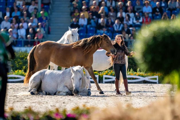 Impressionen der Abschlussfeier FEI World Championship, WM, Weltmeisterschaft Aachen 2026, Closing Ceremony, Abschlussfeier, 23.08.2026 FEI World Championship Aachen 2026, Closing Ceremony, Abschlussfeier, 23.08.2026 Aachen *** Highlights from the Closing Ceremony of the 2026 FEI World Championships in Aachen, Closing Ceremony, August 23, 2026, 2026 FEI World Championships in Aachen, Closing Ceremony, August 23, 2026, Aachen Copyright: xEibner-Pressefoto J.xDerondeaux EP_JDU