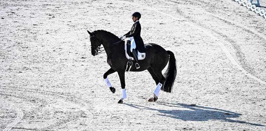 FEI World Championships Aachen 2026. Reit WM in Aachen im Allianz Park (Austragungsort der FEI World Championships) ** NUR FÜR REDAKTIONELLE ZWECKE ** EDITORIAL USE ONLY **<p>Feierliche Abschlussveranstaltung im Hauptstadion am Sonntag, dem 23 08 2026. In diesem Jahr wird in Aachen die Reit WM ausgerichtet. FEI World Championships Aachen 2026. Reit WM in Aachen im Allianz Park (Austragungsort der FEI World Championships) Deutschland NRW Essen Copyright: KerstinxKokoska *** FEI World Championships Aachen 2026 Equestrian World Championships in Aachen at Allianz Park, venue of the FEI World Championships ** FOR EDITORIAL PURPOSES ONLY ** EDITORIAL USE ONLY ** p Closing ceremony at the main stadium on Sunday, August 23, 2026 This year, Aachen will host the World Equestrian Championships FEI World Championships Aachen 2026 World Equestrian Championships in Aachen at Allianz Park Venue of the FEI World Championships Germany North Rhine-Westphalia Essen Copyright KerstinxKokoska Copyright: KerstinxKokoska doc87ac4ivqc4xcv2i9miz ,EDITORIAL USE ONLY