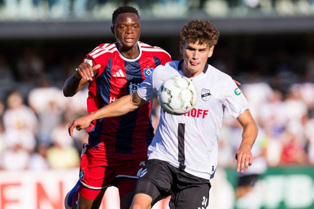 Football, DFB Cup, SC Verl v Hamburger SV